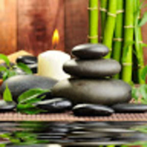 Meet your Posher, Libra love